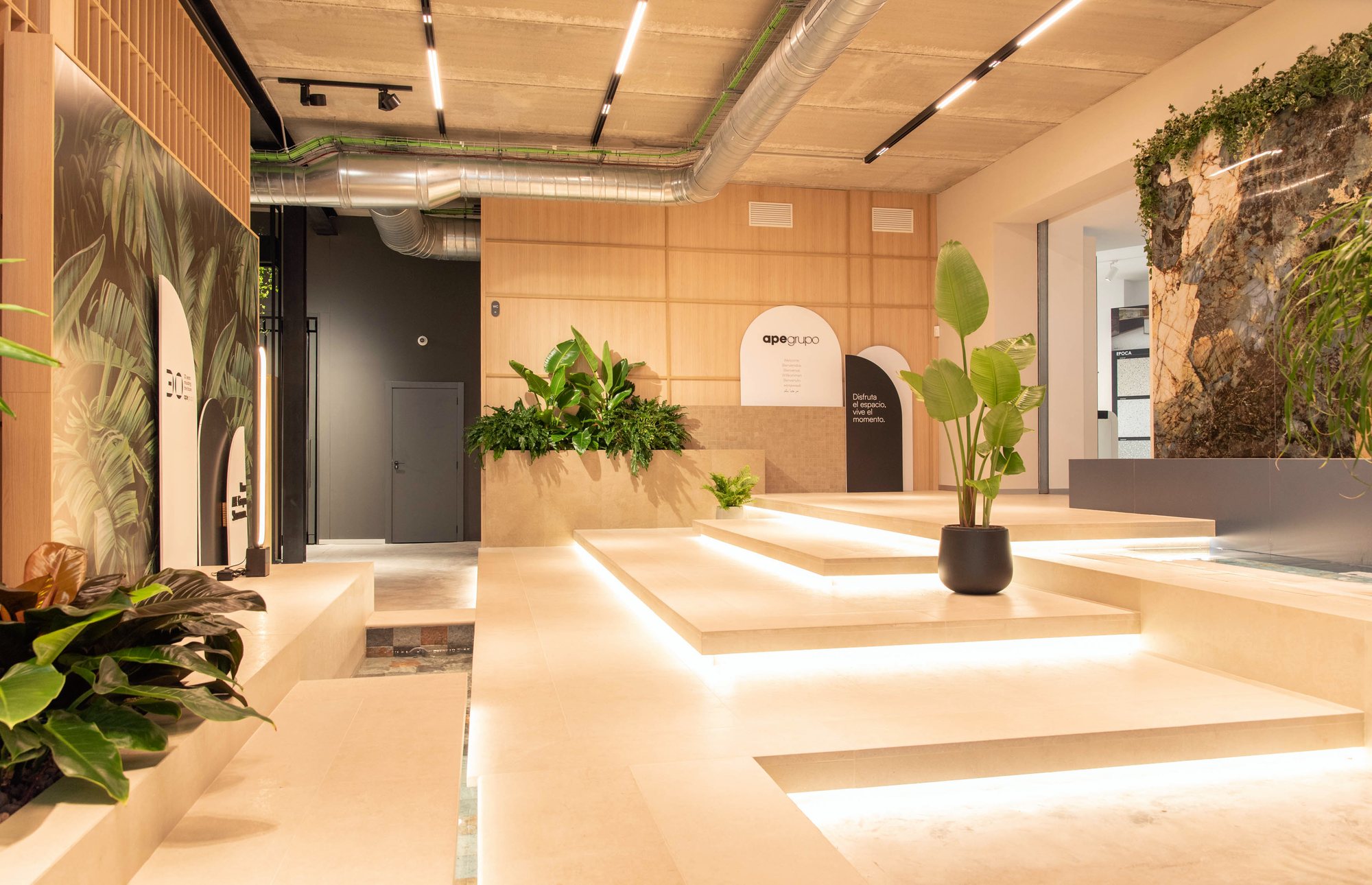 Zona de acceso con jardín vertical y jardineras
