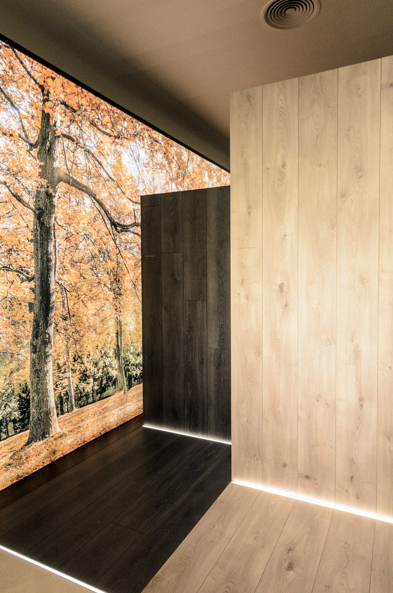 Ambiente de madera con fondo de bosque retroiluminado