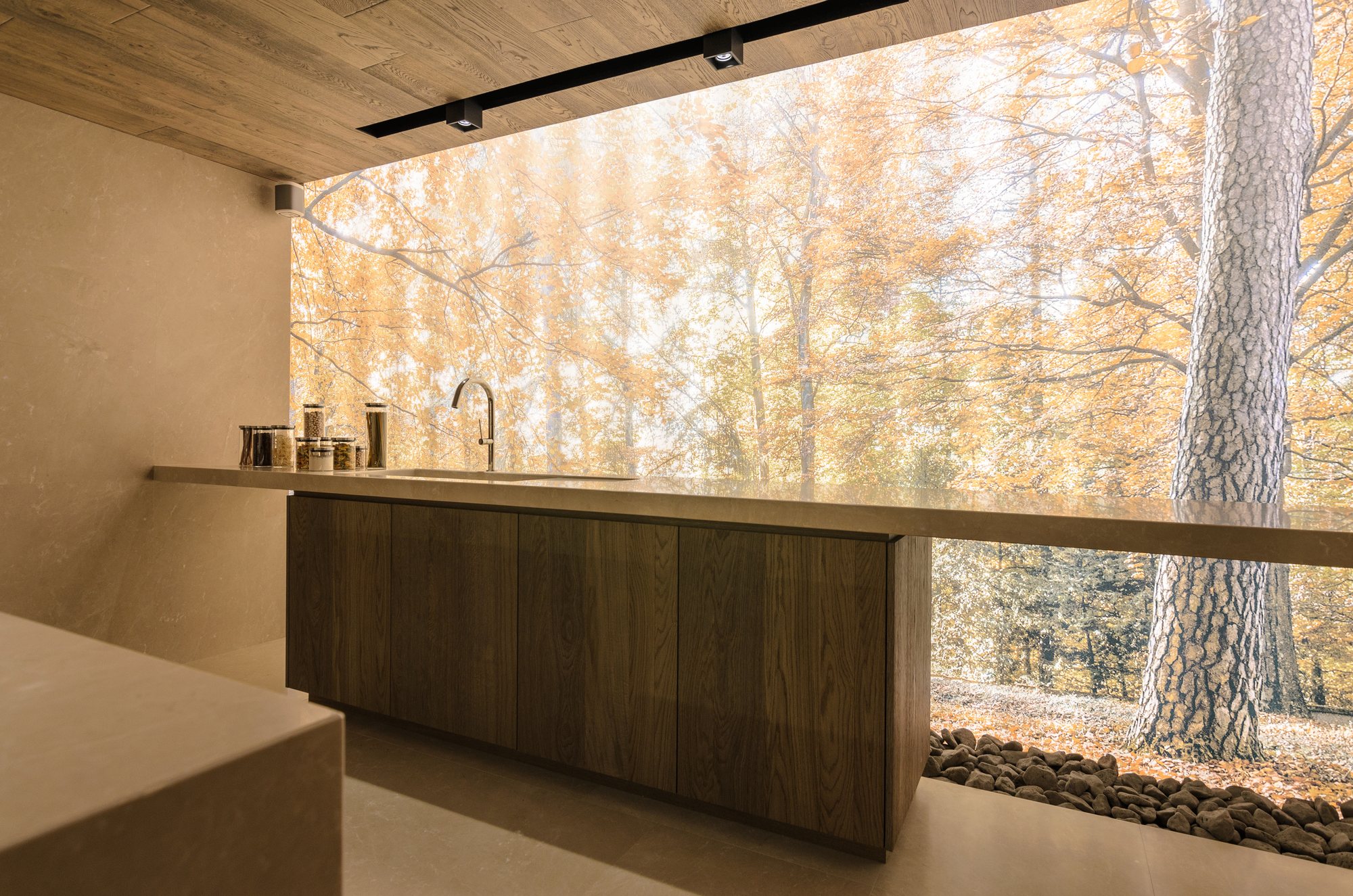 Ambiente de cocina frente al bosque retroiluminado