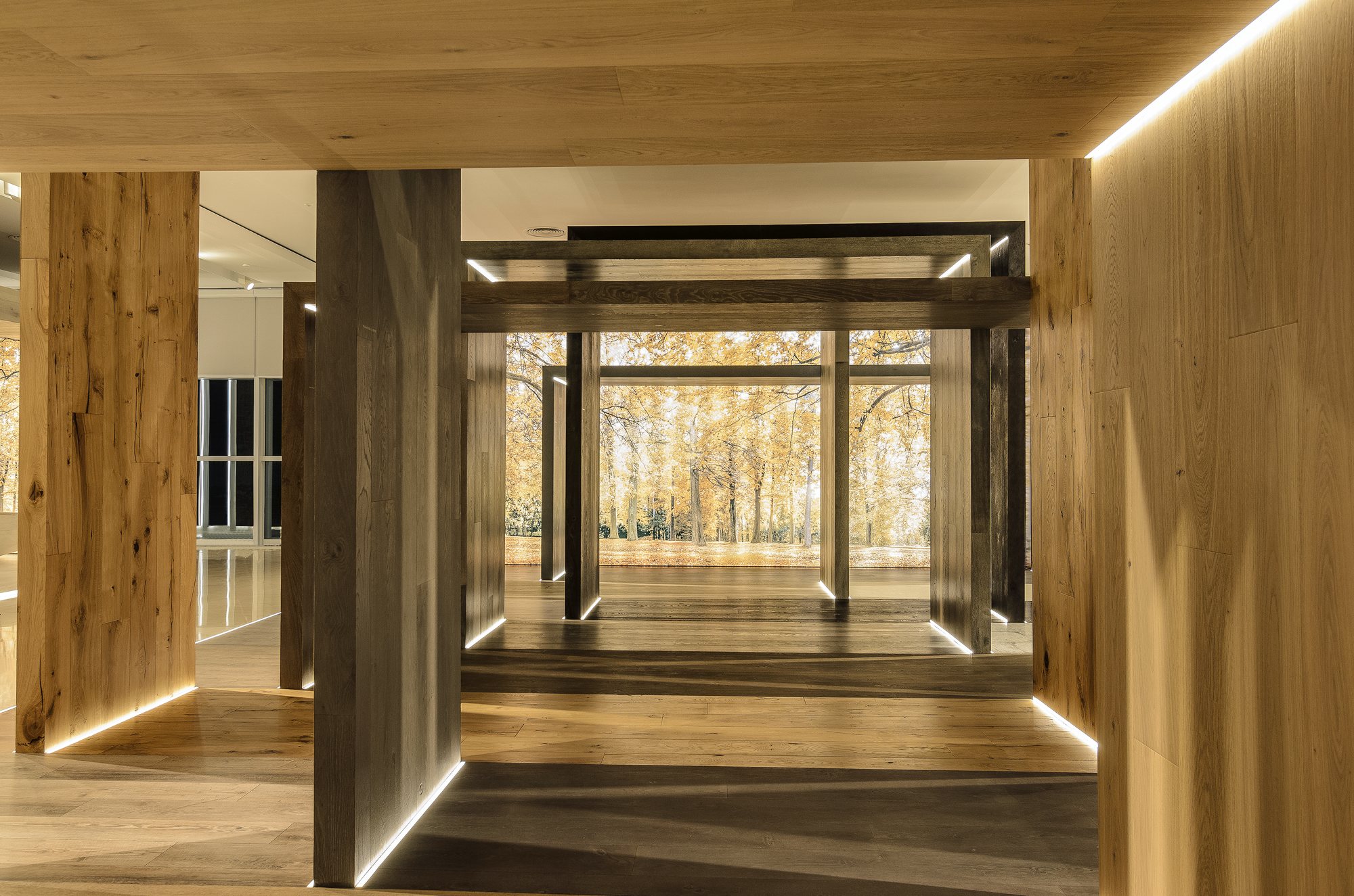 Pórticos de madera con LED